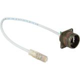 RJFTV22G03100BTX