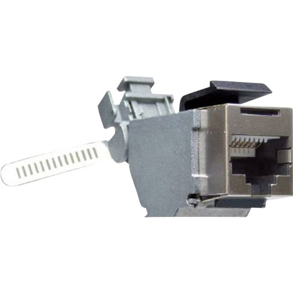 Yamaichi Y-CONJACK-16K | Conrad