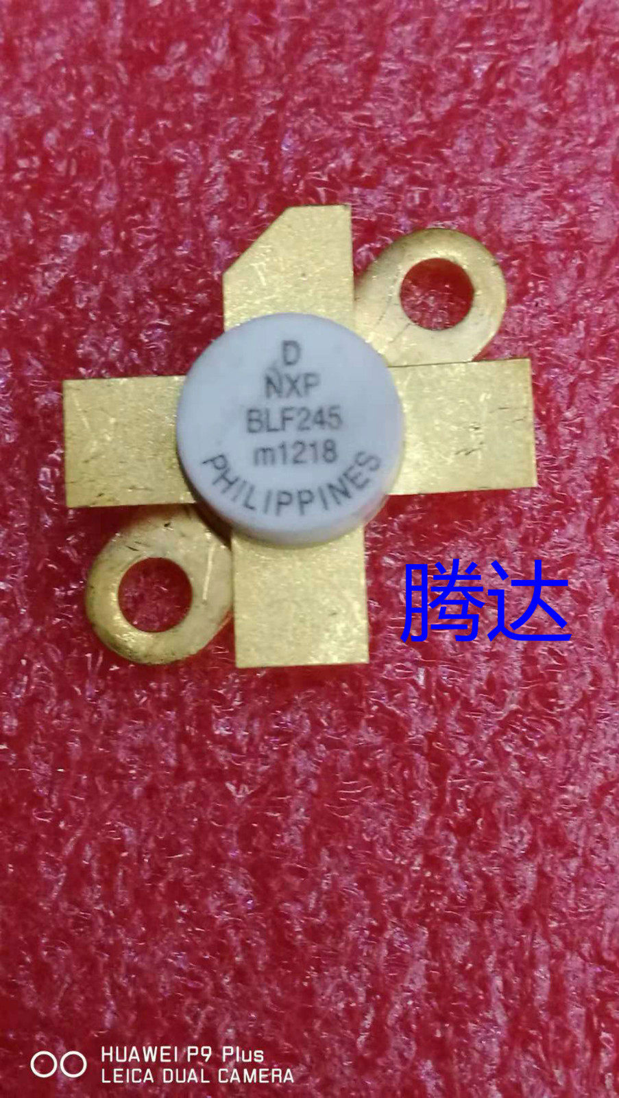 NXP Semiconductors - BLF245