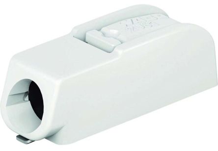 WAGO 2061-601/998-404 | RS