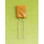 Bel Fuse - 0ZRB0250FF1E