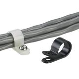 CCH25-S10-M0