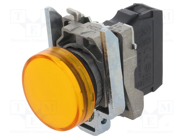 XB4BVB5 Schneider Electric - Datasheet PDF & Technical Specs