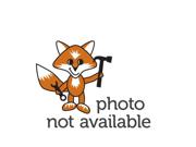 Micro Plastics - 13SP184