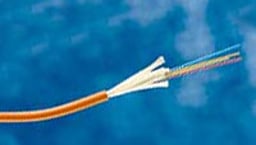 2-599146-5 by TE Connectivity / AMP