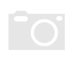 BS DWB800-1000D60 by Weg Electric Motors