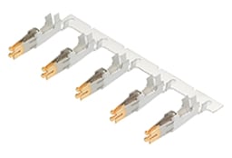 42815-0042 by Molex