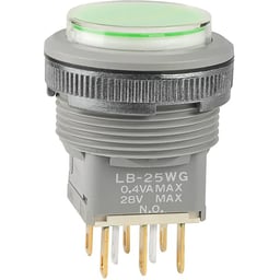 LB25WGG01-5F24-JF by NKK Switches