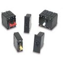 BA2-B2-34-420-111-D by Carling Technologies