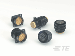 FDBA50-22-55SN-K-A499 by TE Connectivity / DEUTSCH